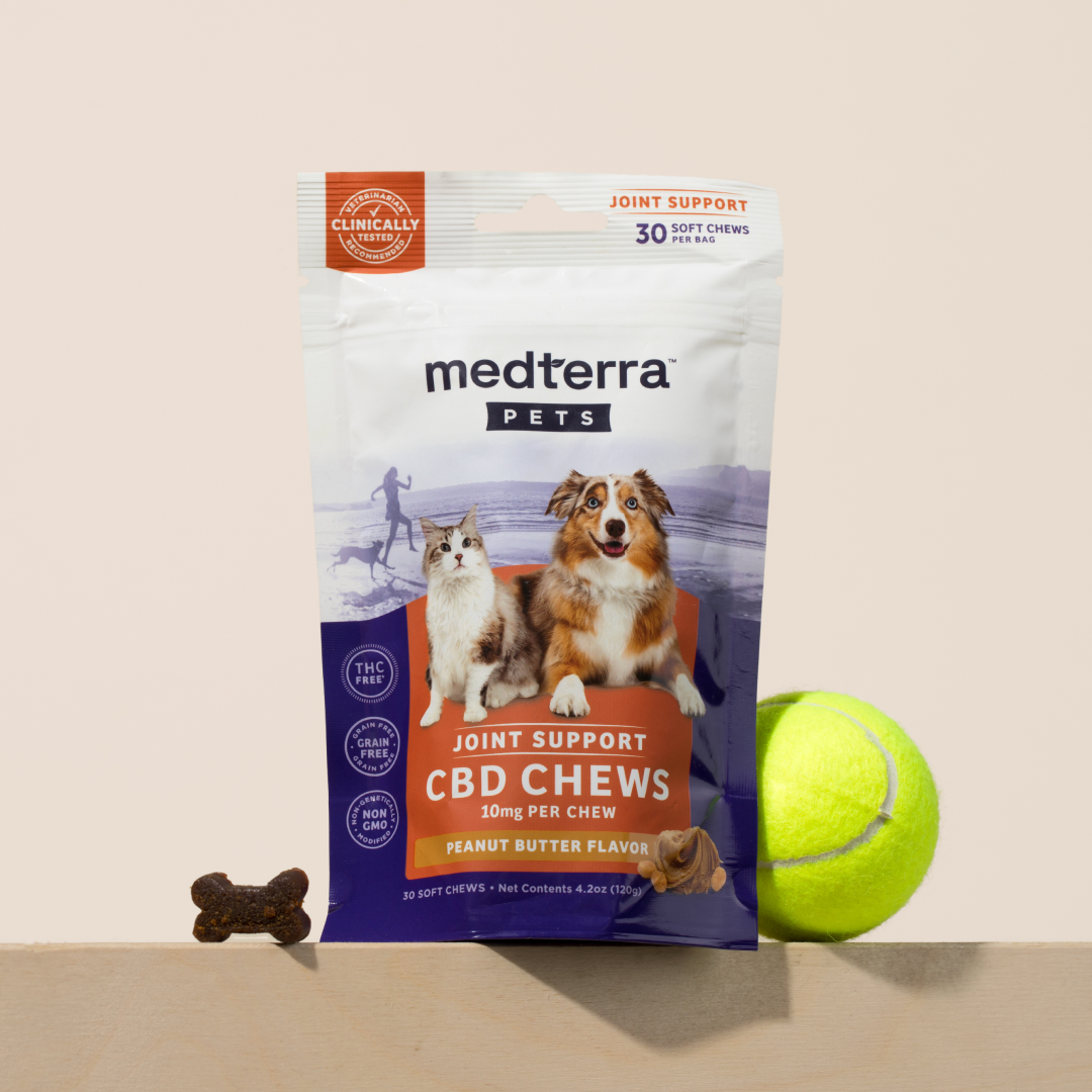 Medterra Pet CBD Joint Support Chews