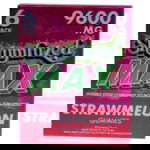 Shrumfuzed MAX Nootropic Mushroom Gummies 6pc