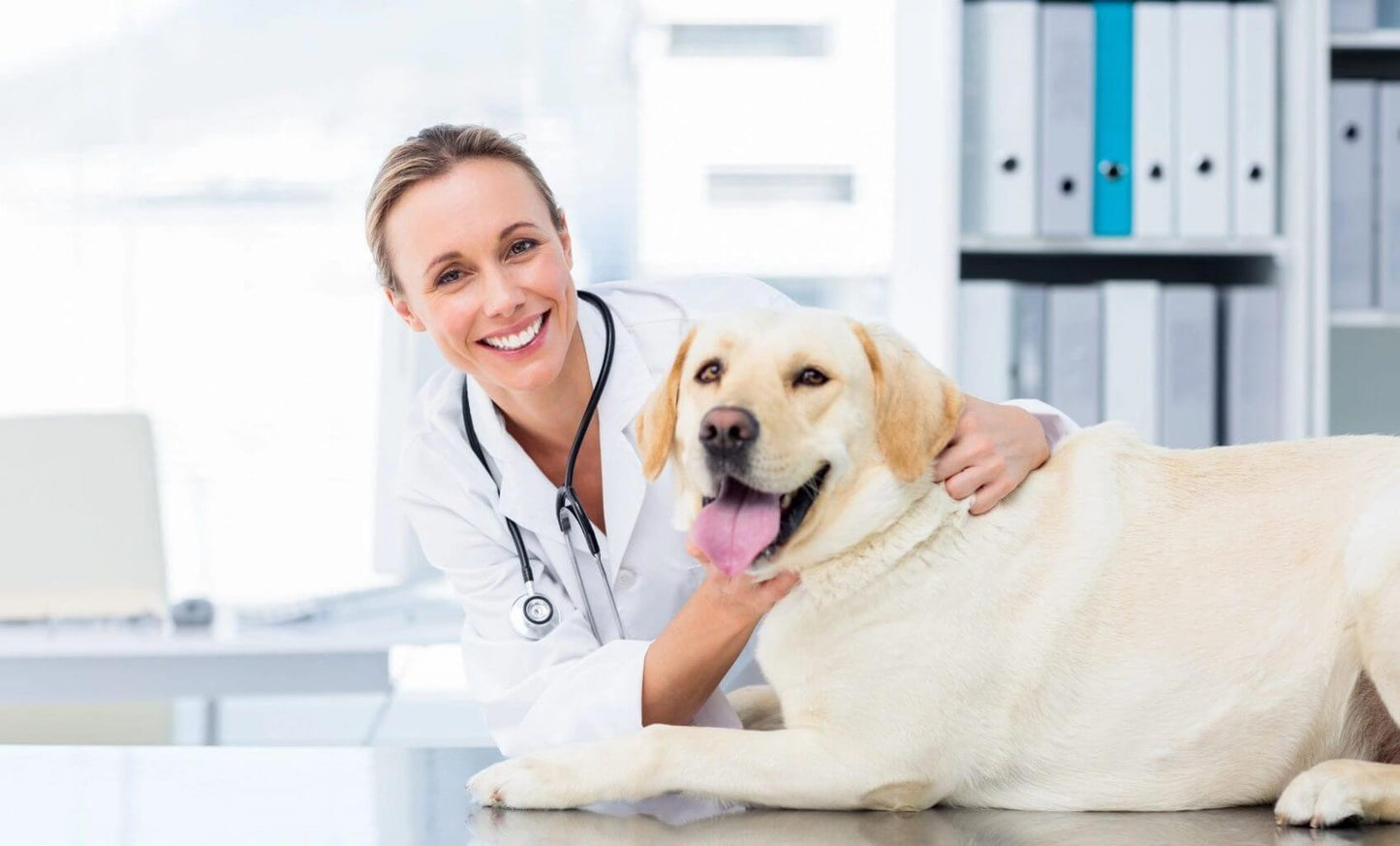 Mission Farms Pet CBD Oil Best Sales Price - Beauty