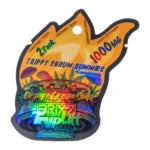 BRIXZ TrypLitt Nootropic Mushroom Gummies 2pc