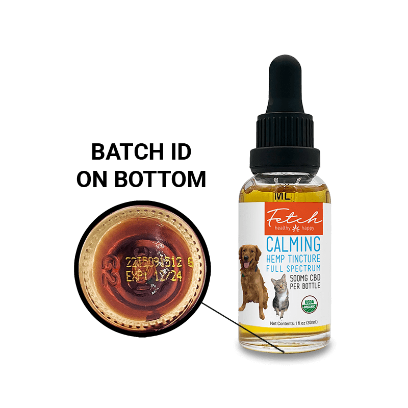 Extract Labs Organic Fetch Tincture | CBD Oil For Pets