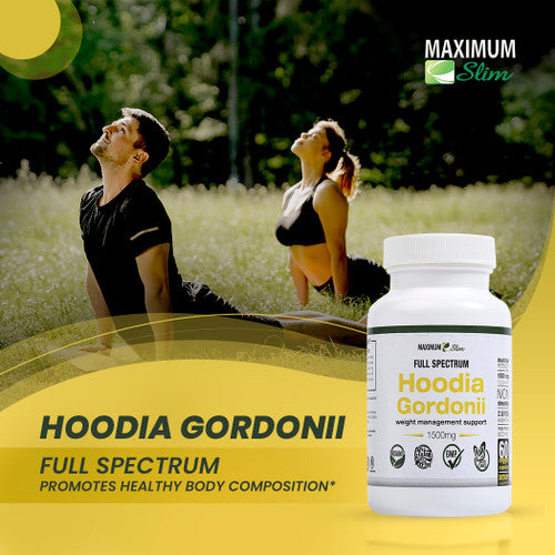 Maximum Slim Hoodia Gordonii Full Spectrum Best Sales Price - Edibles