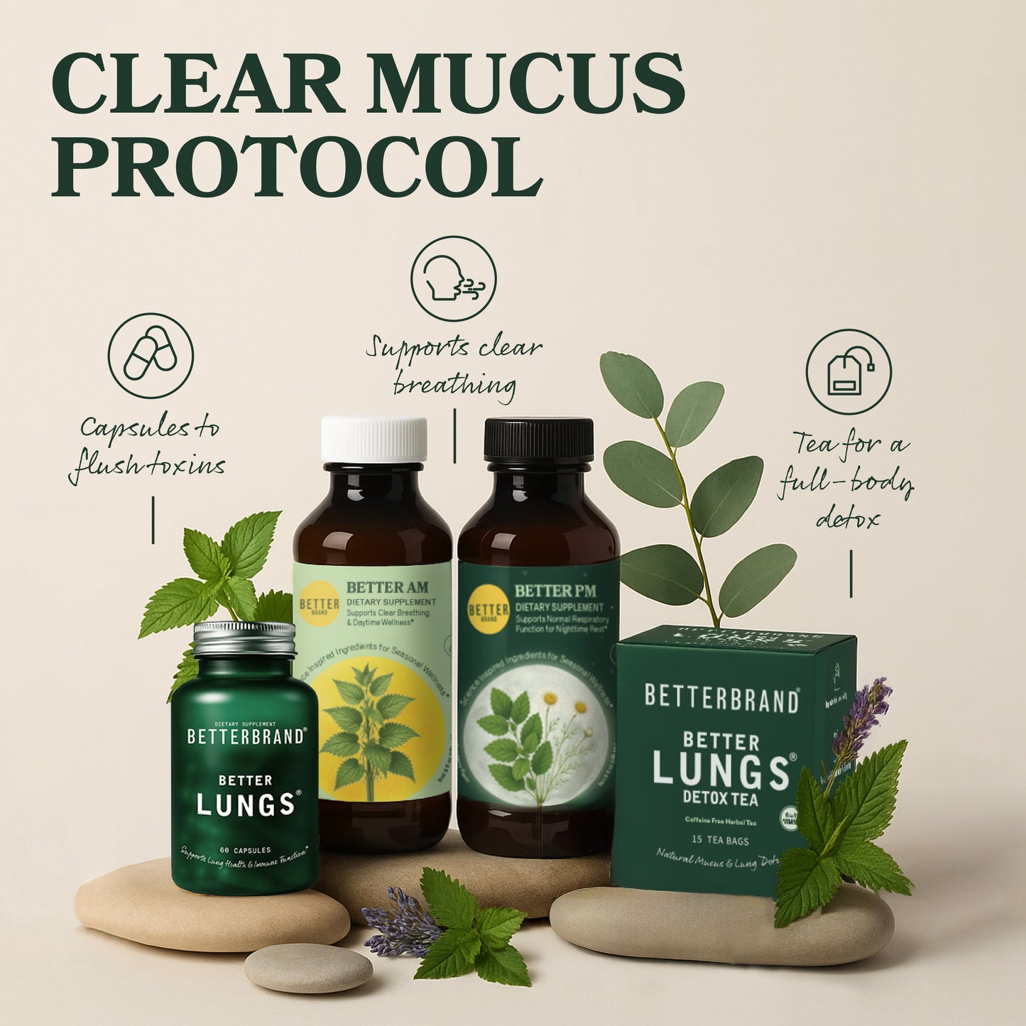 BetterBrand Clear Mucus Protocol