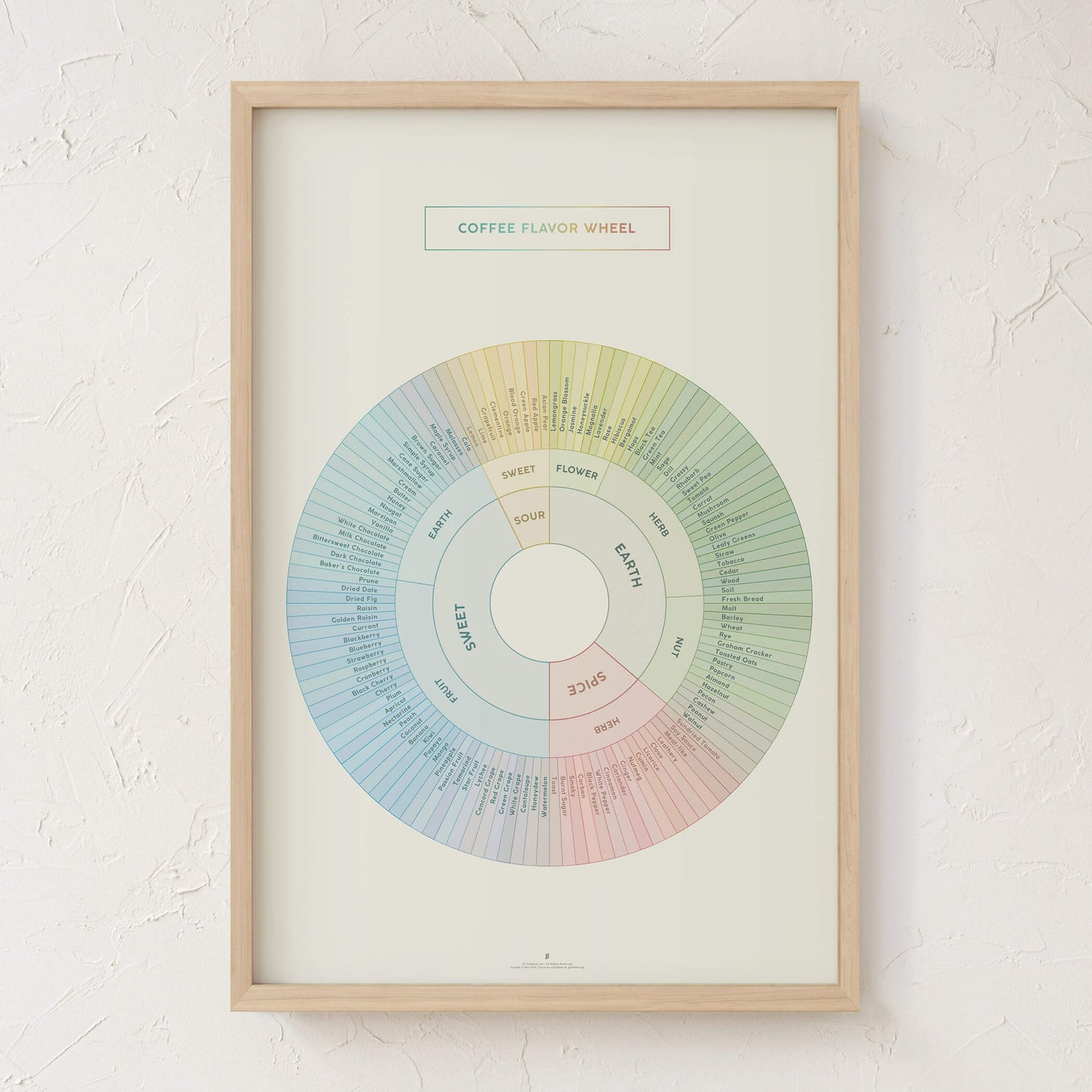 GoldLeaf Coffee Flavor Wheel Print Best Sales Price - Art Prints