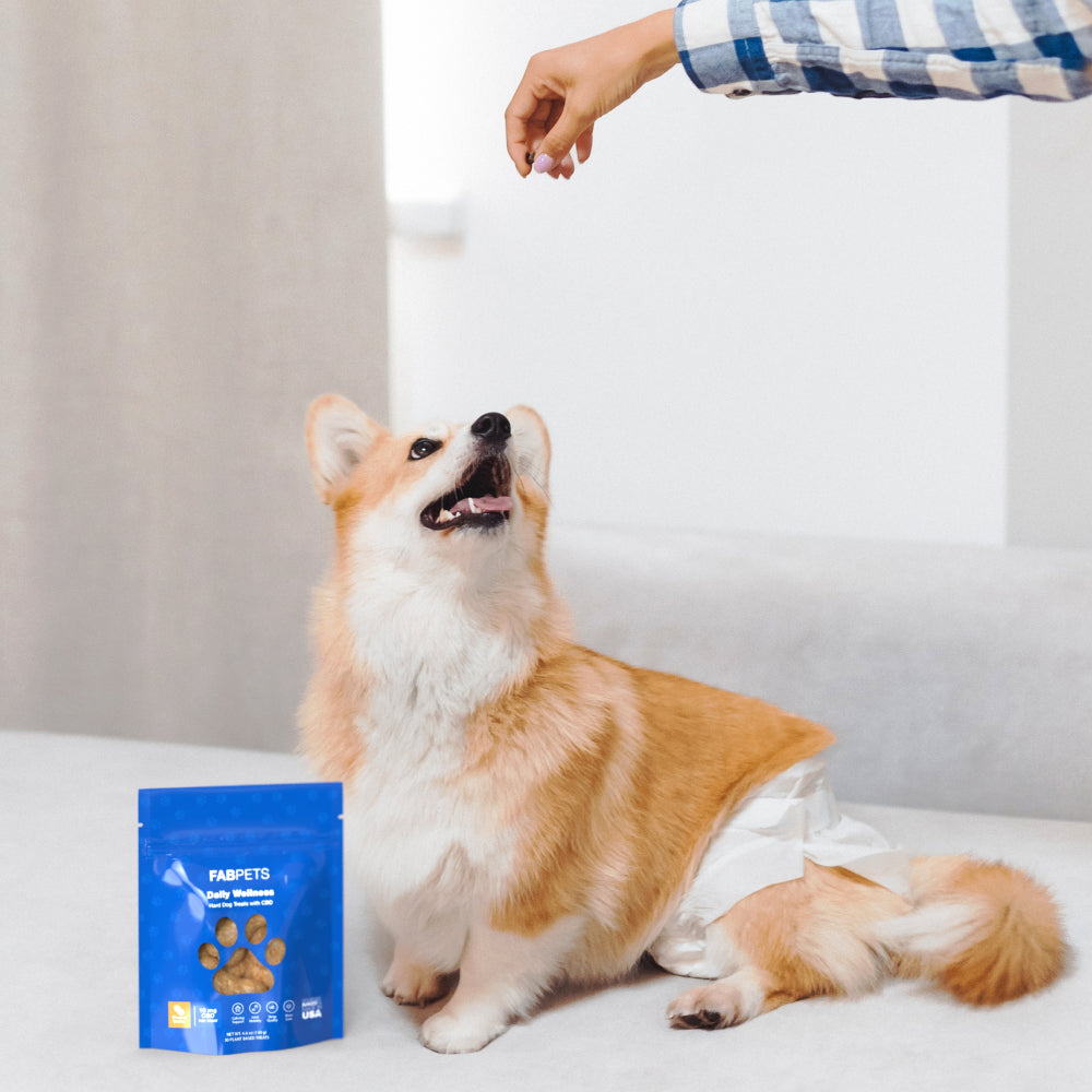 FAB CBD Pet Wellness Bundle
