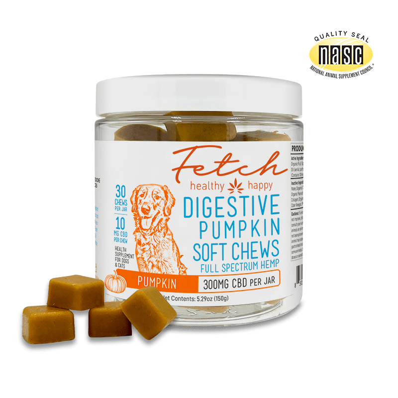 Extract Labs Fetch Digestive Pumpkin Soft Chews