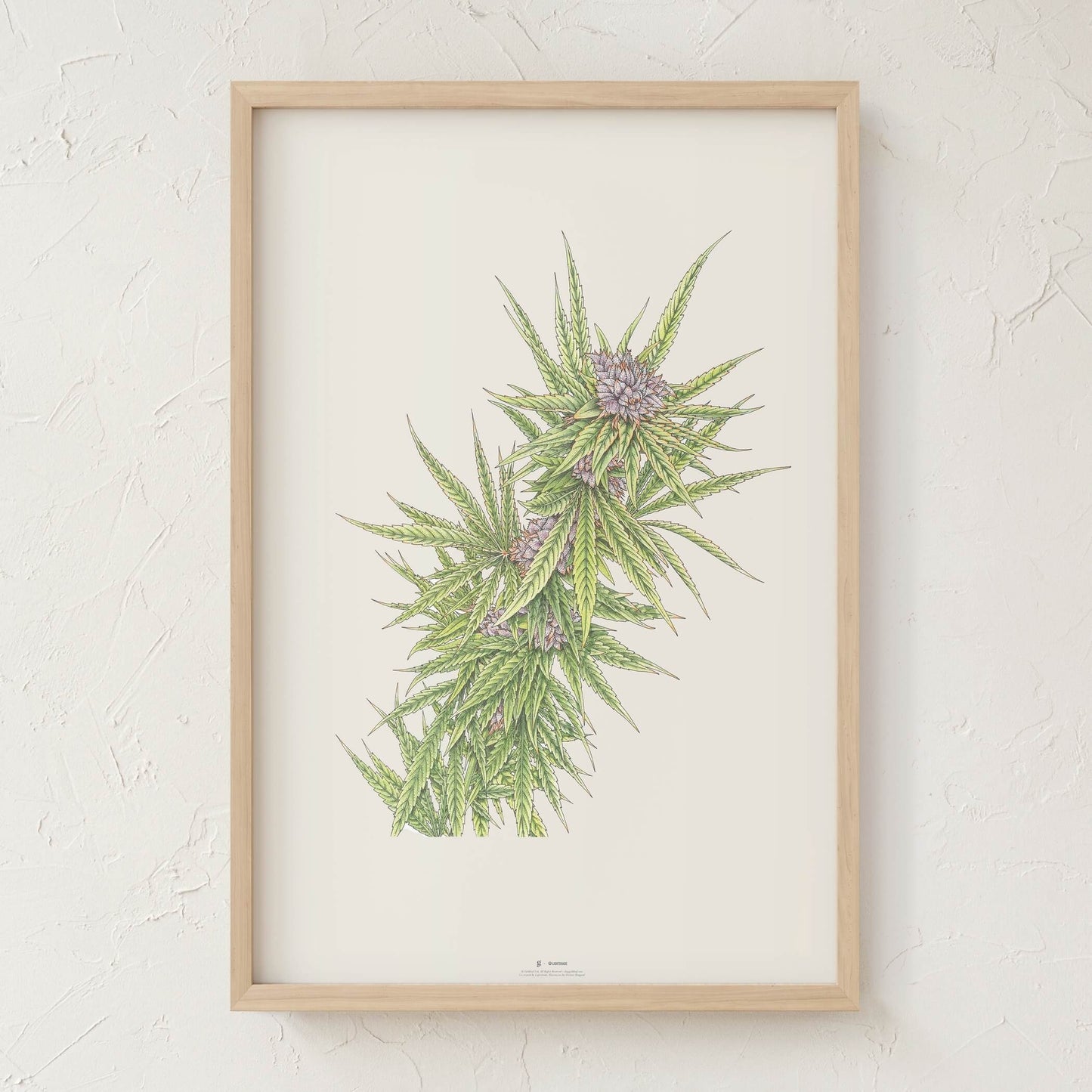 GoldLeaf Blue Dream Botanical Illustration Print Best Sales Price - Art Prints