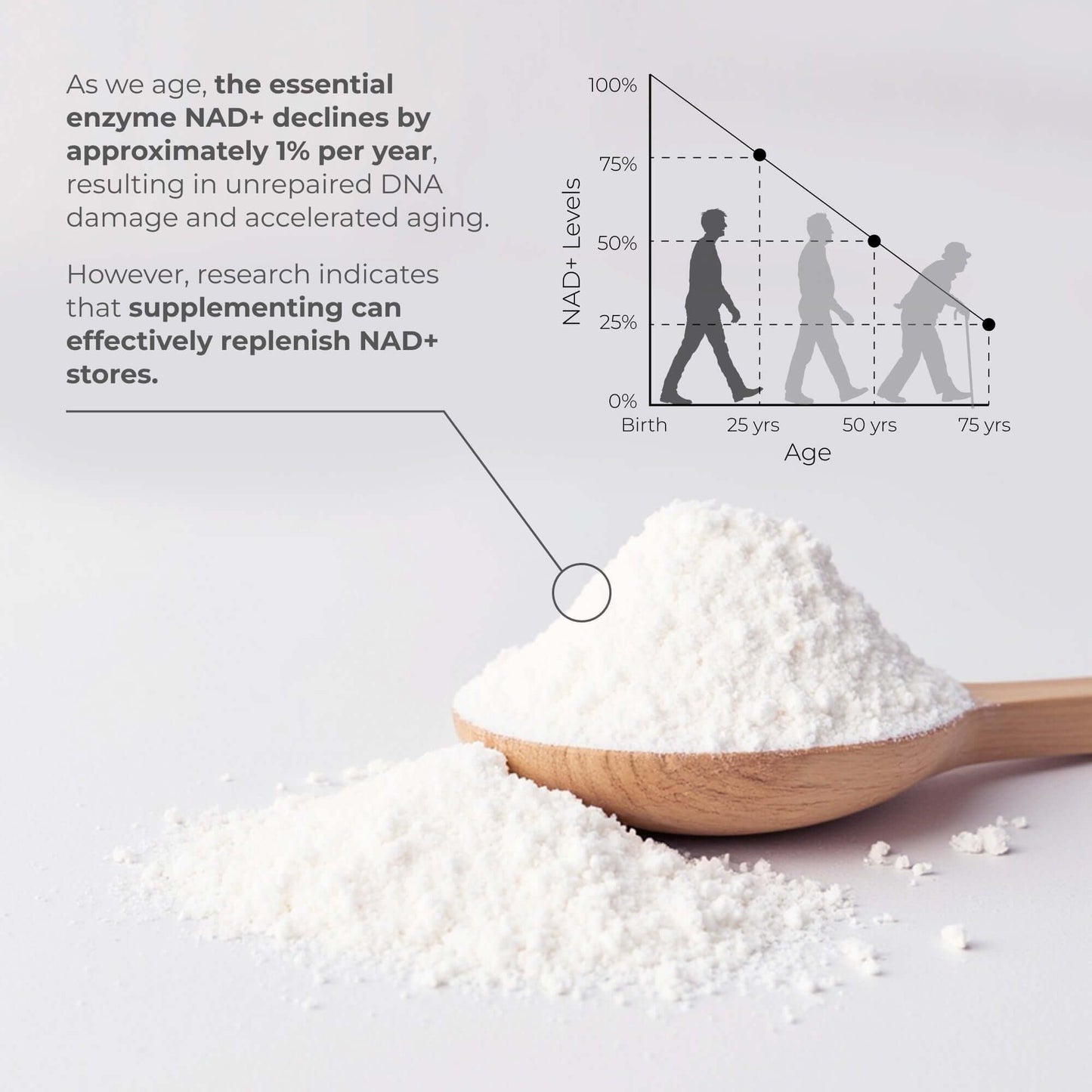 Neurogan Health NAD+ Precursor Capsules