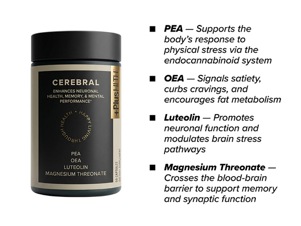 PlusCBD Cerebral - Cognitive Support 60ct Best Sales Price - Gummies