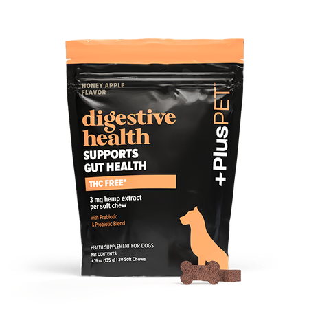 PlusCBD Digestive Health CBD Chews 30ct