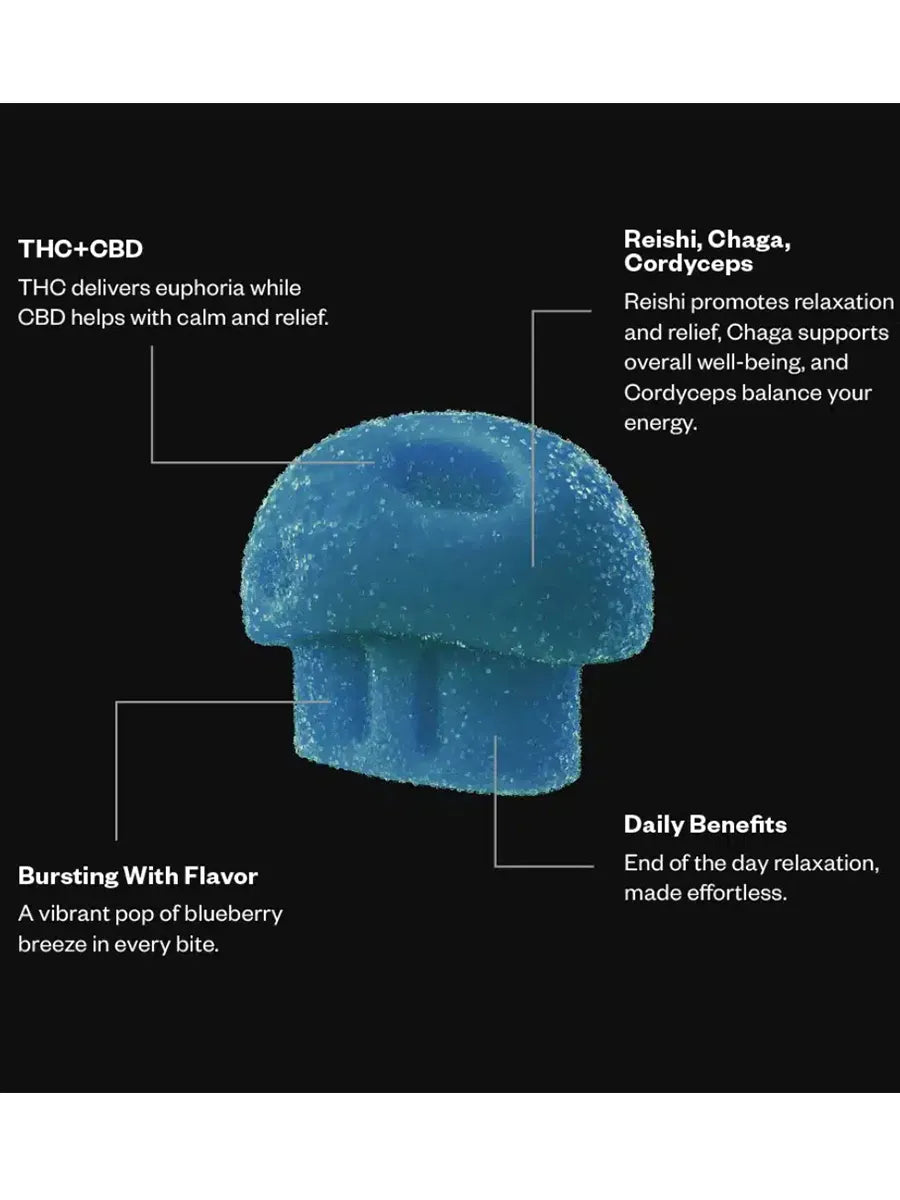 Blueberry Breeze Munchies Functional Microdose Chillin Gummies 20ct
