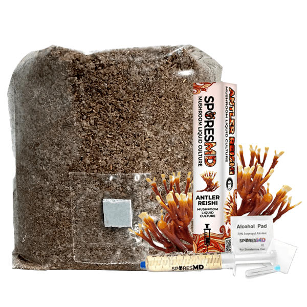 SporesMD Functional Mushroom Kit – Antler Reishi