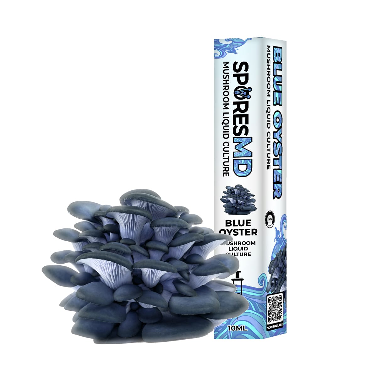 SporesMD Blue Oyster Organic Mushroom Liquid Culture Syringe (10ml)