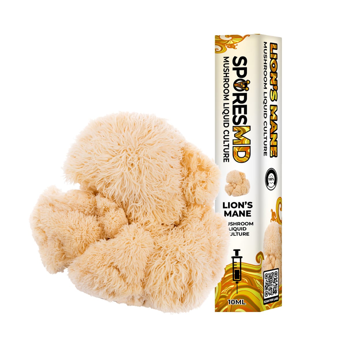 SporesMD Lion’s Mane Organic Mushroom Liquid Culture Syringe (10ml)