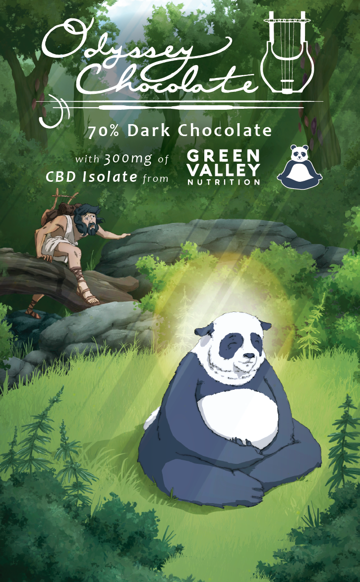Dark Chocolate CBD Bar 300mg