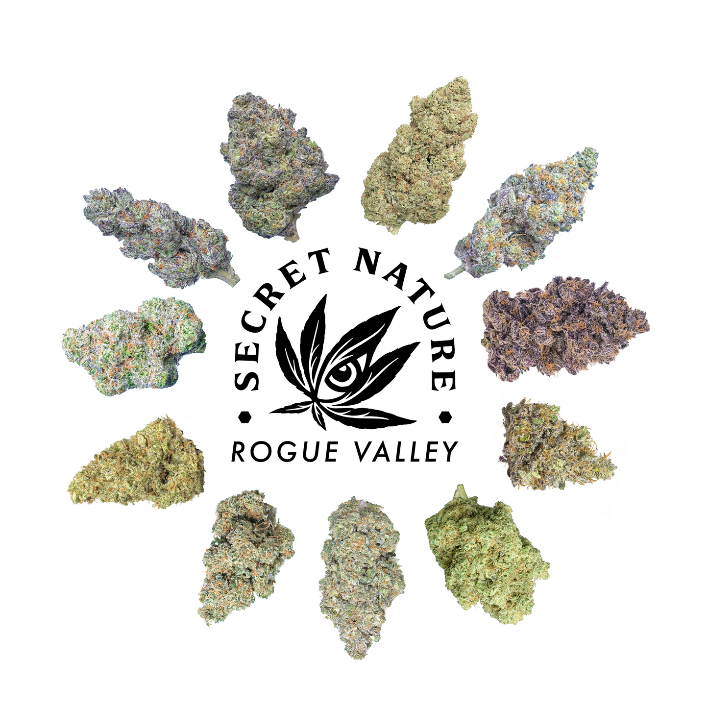 Secret Nature Build Your Own Flower Bundle