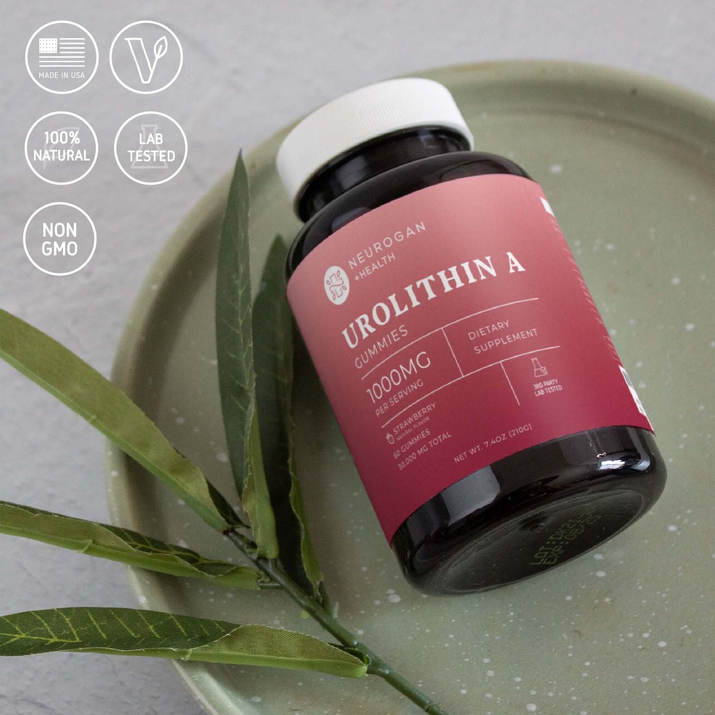 Neurogan Health Urolithin A Gummies