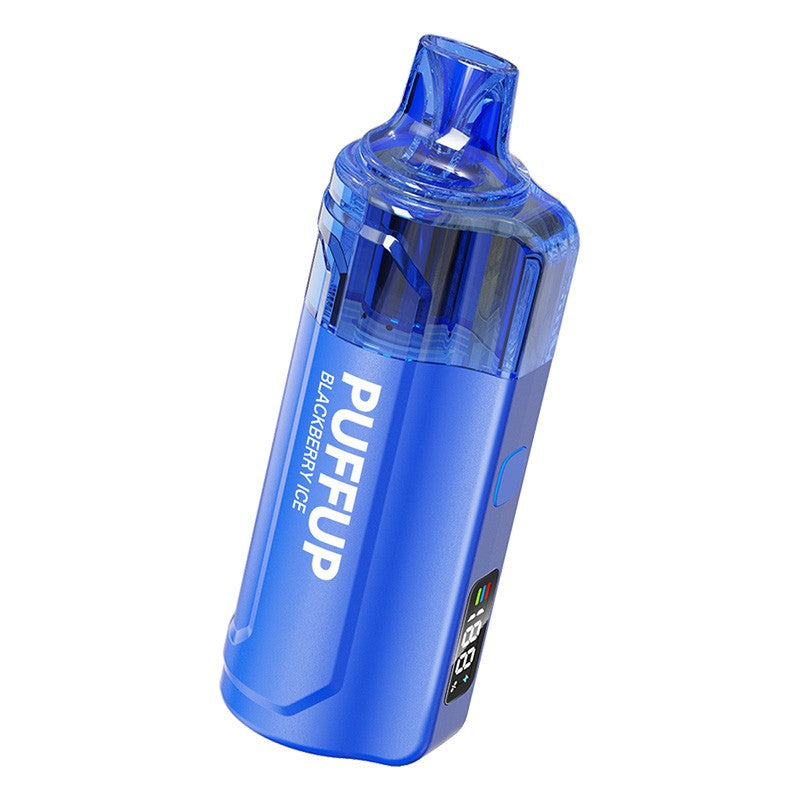 Puffup 25000 Puffs Disposable Vape (15ml, 5%)
