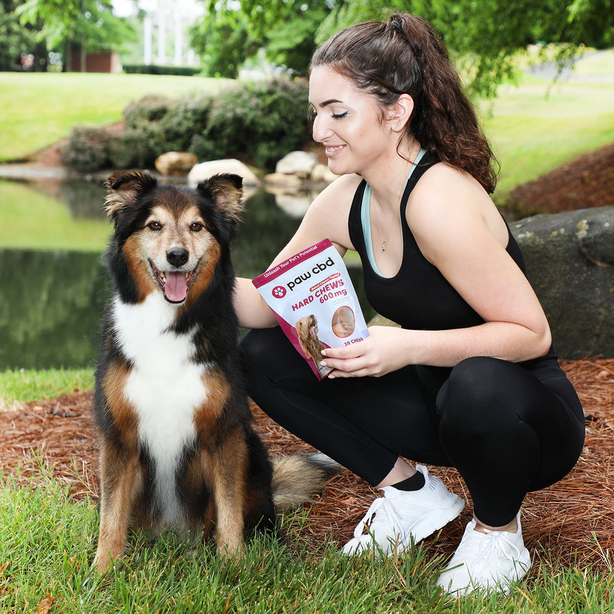 Paw CBD Broad Spectrum CBD Dog Hard Chews