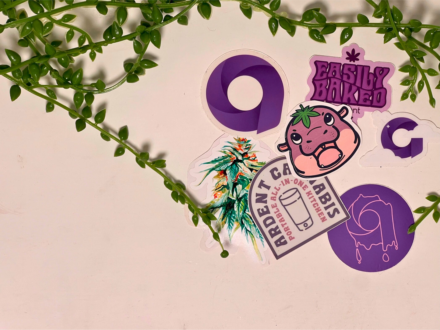 Ardent Moo Dank Sticker Pack Best Sales Price - Bundles