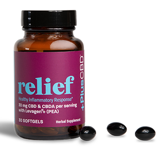 PlusCBD Relief Softgel Capsules 30MG Best Sales Price - Edibles