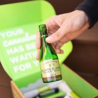 Cannabox Champagne Glass Handpipe Best Sales Price - Smoking Pipes