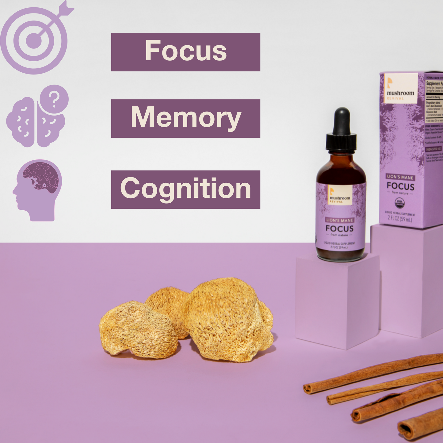 Mushroom Revival Focus Lion's Mane Tincture Best Sales Price - Tincture Oil