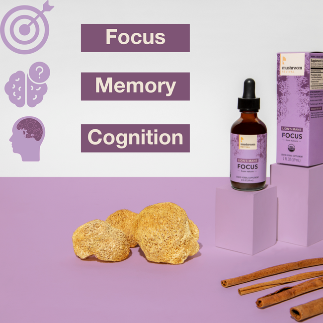 Mushroom Revival Focus Lion's Mane Tincture Best Sales Price - Tincture Oil