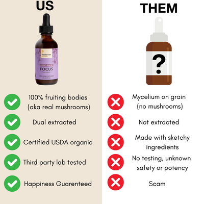 Mushroom Revival Focus Lion's Mane Tincture Best Sales Price - Tincture Oil