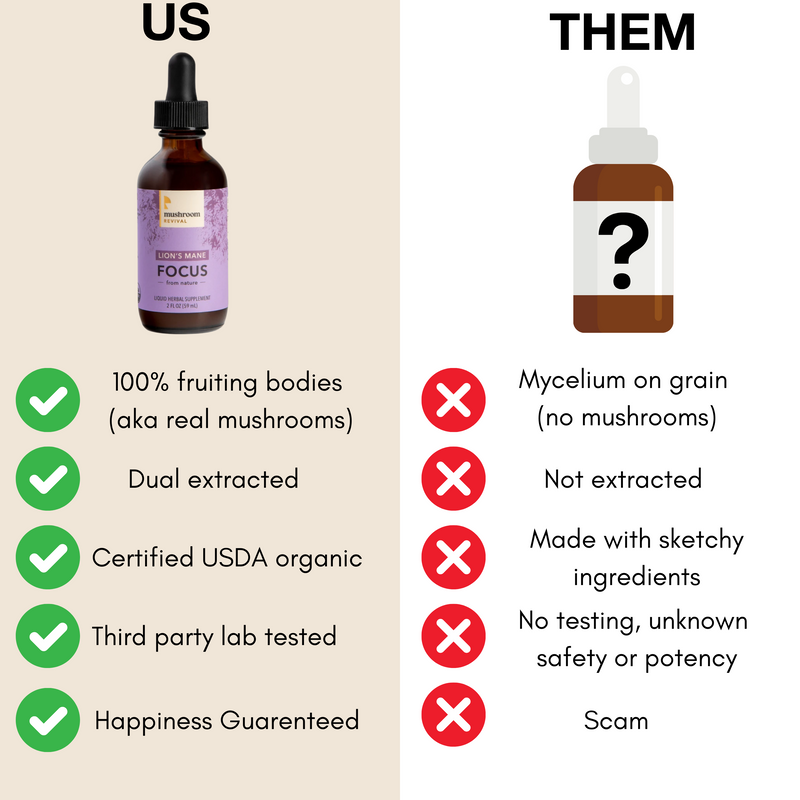 Mushroom Revival Focus Lion's Mane Tincture Best Sales Price - Tincture Oil