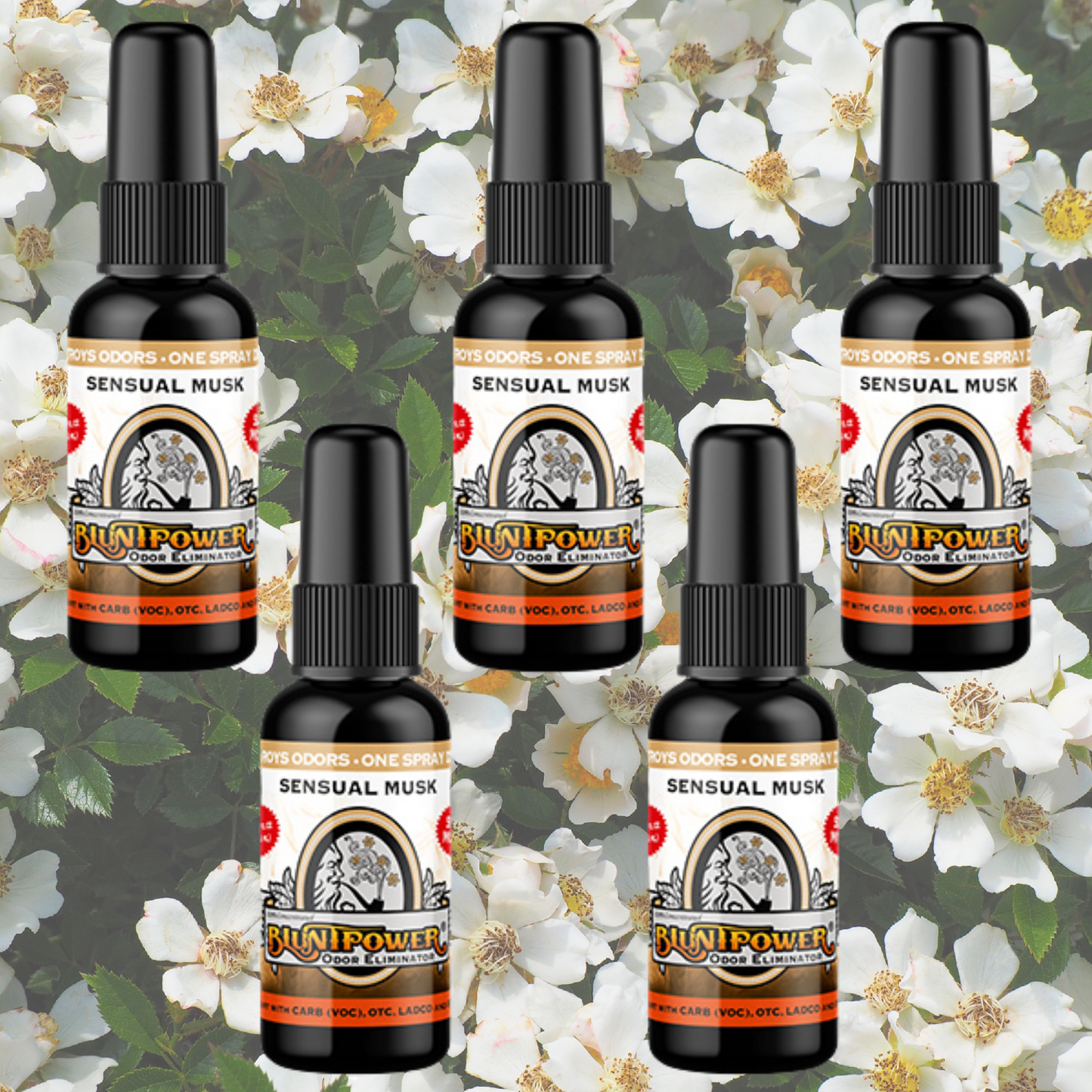 Sensual Musk Odor Eliminator Spray