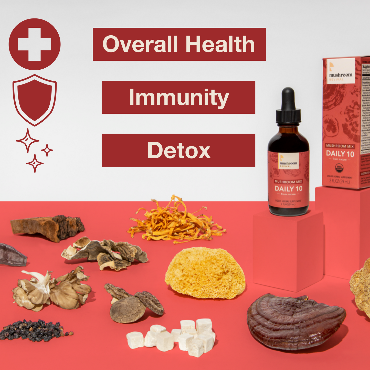 Mushroom Revival Daily 10 Mix Mushroom Tincture Best Sales Price - Tincture Oil
