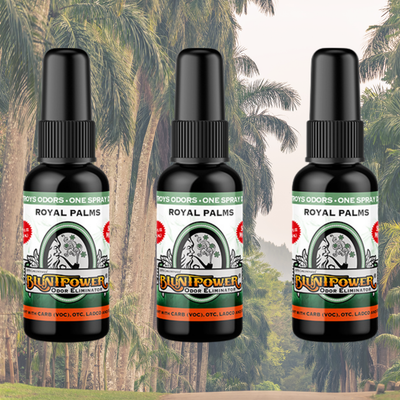 Royal Palms Odor Eliminator Spray Best Sales Price - Smoke Odor Eliminators