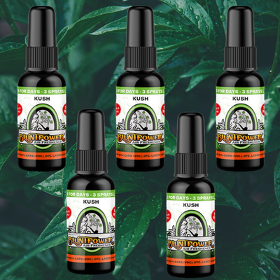 Kush Air Freshener Spray Best Sales Price - Smoke Odor Eliminators