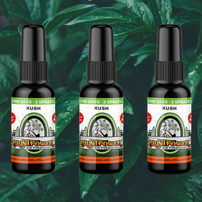 Kush Air Freshener Spray Best Sales Price - Smoke Odor Eliminators