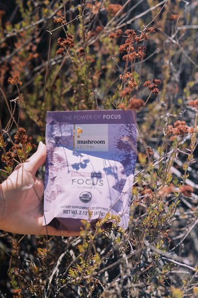 Mushroom Revival Focused & Healthy Gummies Best Sales Price - Gummies