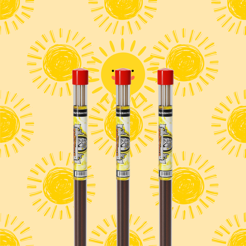 Sunshine Long Incense Sticks Best Sales Price - Smoke Odor Eliminators
