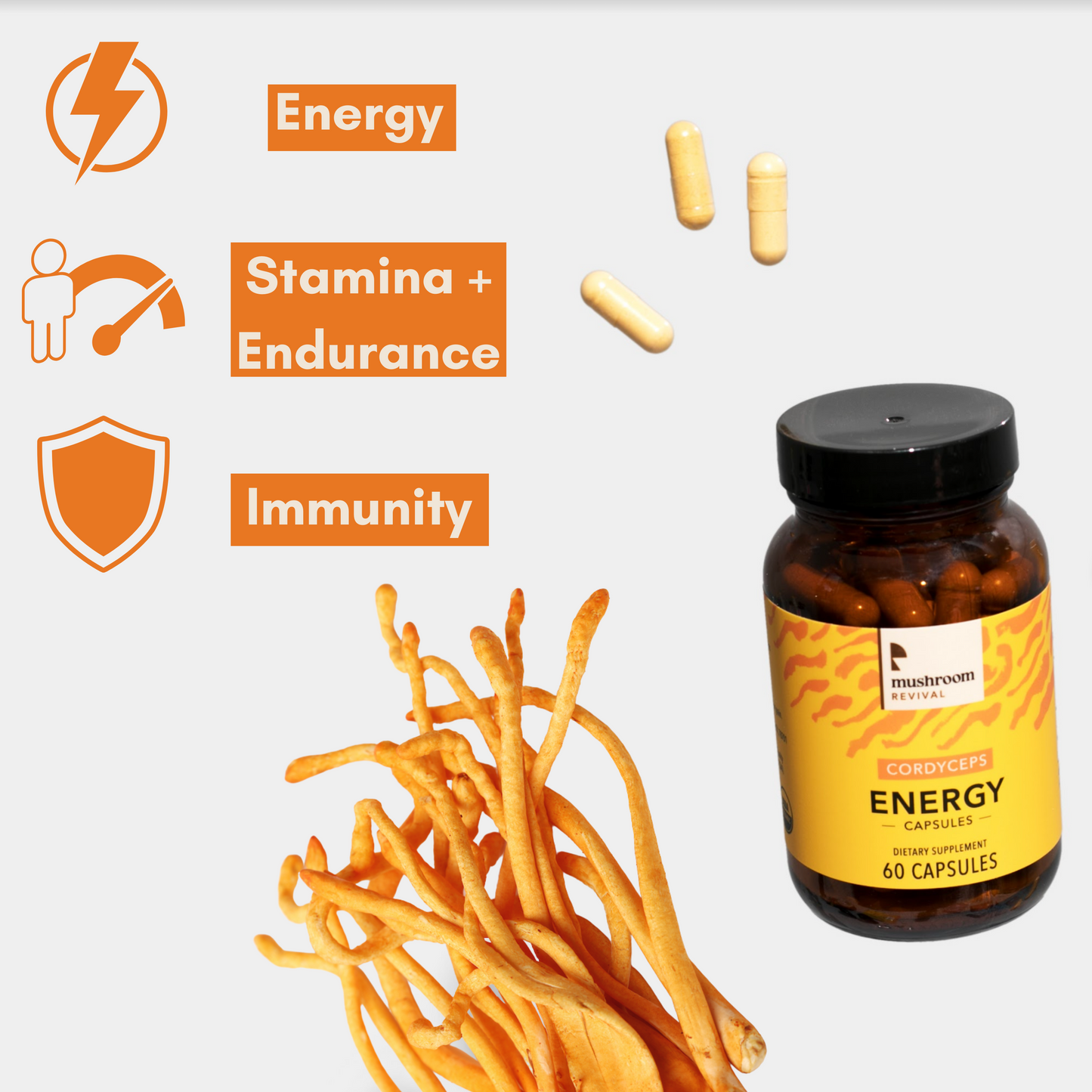 Mushroom Revival Energy Cordyceps Capsules Best Sales Price - Edibles