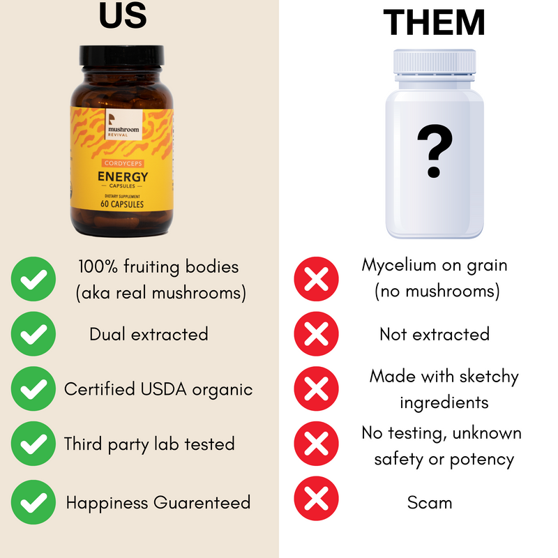 Mushroom Revival Energy Cordyceps Capsules Best Sales Price - Edibles