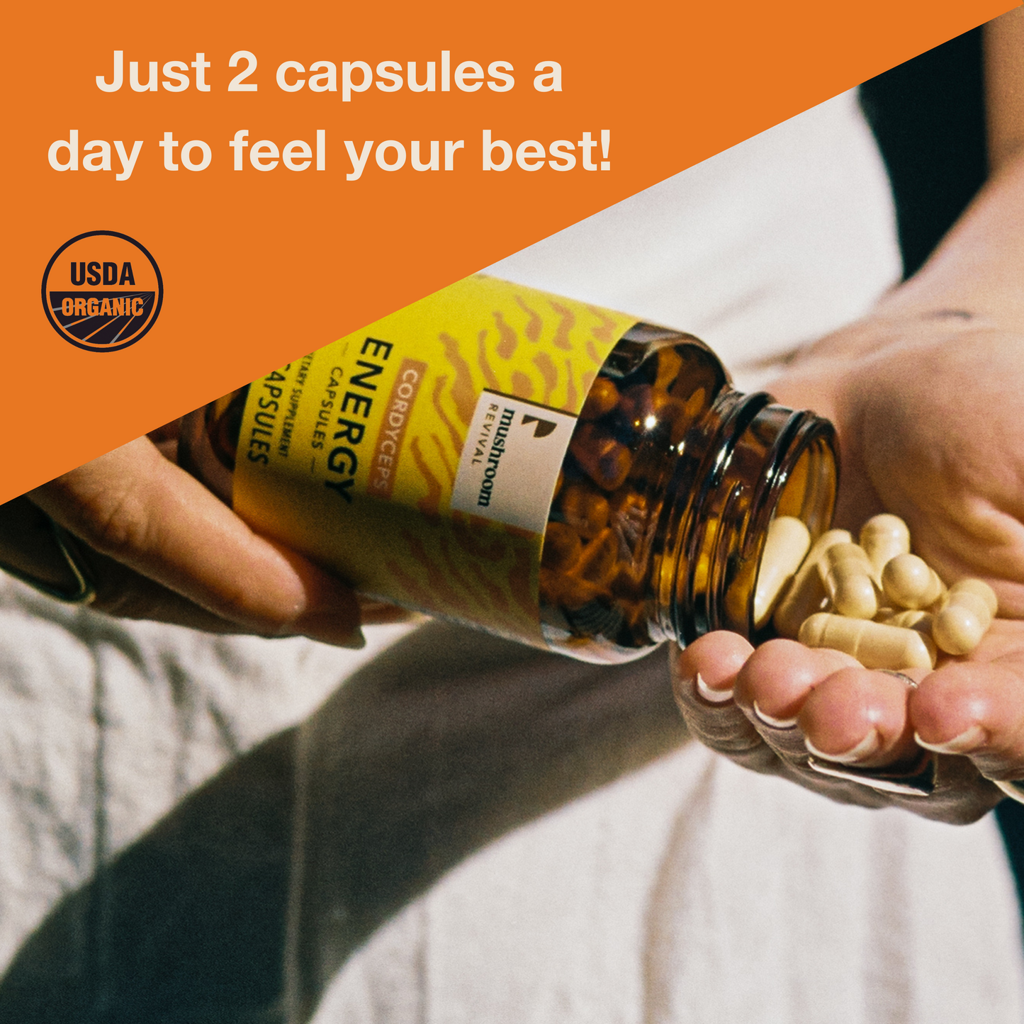Mushroom Revival Energy Cordyceps Capsules Best Sales Price - Edibles