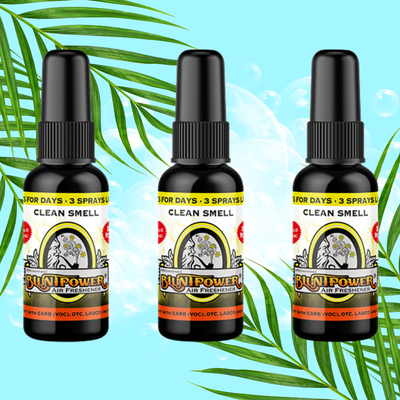 Clean Smell Air Freshener Spray Best Sales Price - Smoke Odor Eliminators
