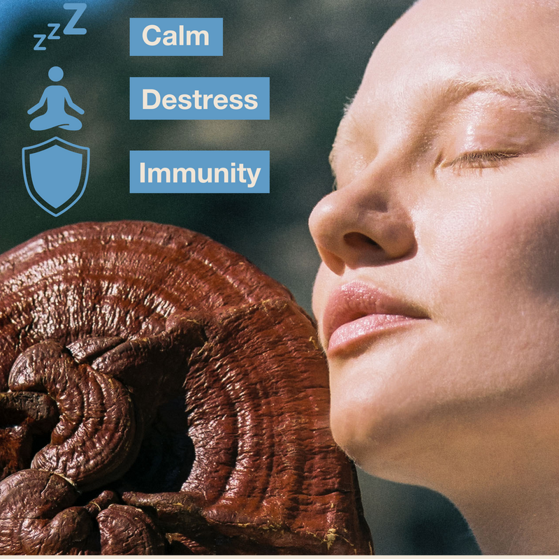 Mushroom Revival Calm Reishi Mushroom Capsules Best Sales Price - Edibles