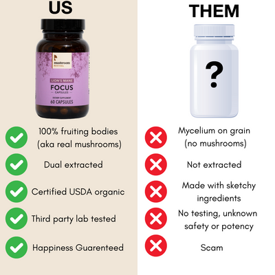Mushroom Revival Focus Lion's Mane Capsules Best Sales Price - Edibles