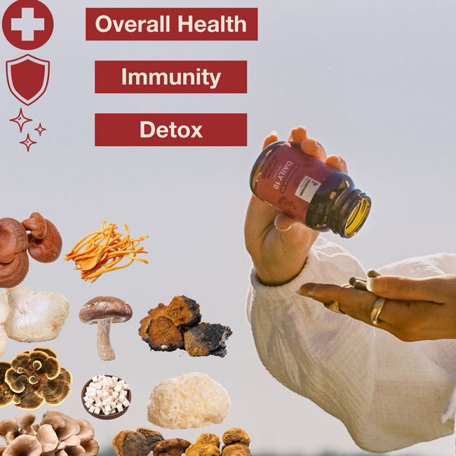 Mushroom Revival Daily 10 Mix Mushroom Capsules Best Sales Price - Edibles
