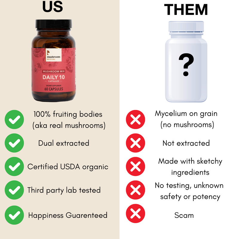 Mushroom Revival Daily 10 Mix Mushroom Capsules Best Sales Price - Edibles
