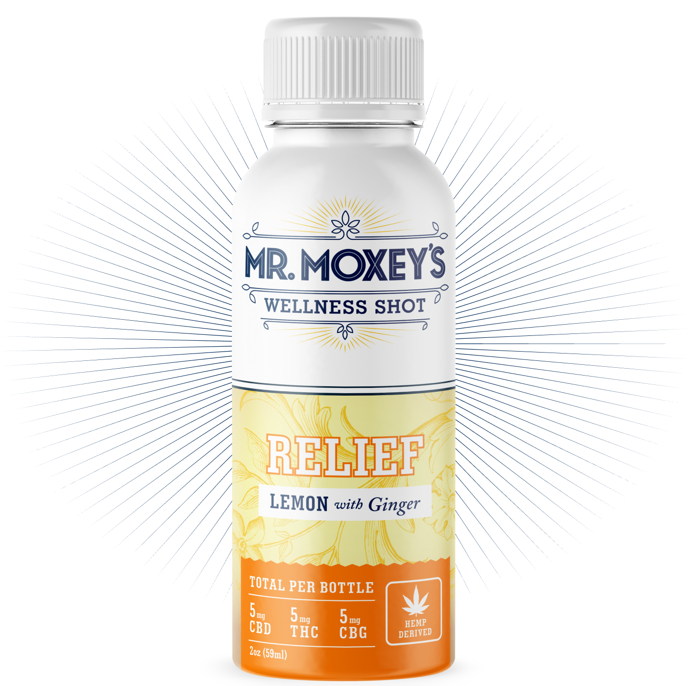 Mr. Moxey's Relief Lemon Ginger Wellness Shot (6 pack)