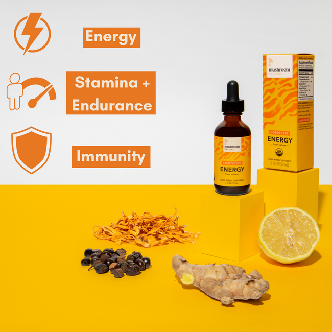 Mushroom Revival Energy Cordyceps Tincture Best Sales Price - Tincture Oil