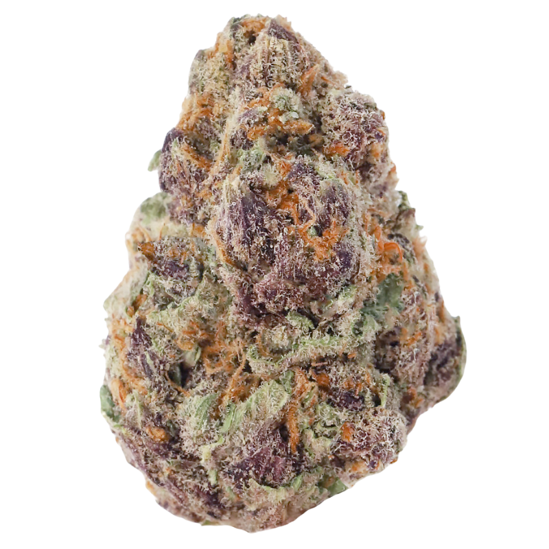 Purple Hindu Kush THCa Flower