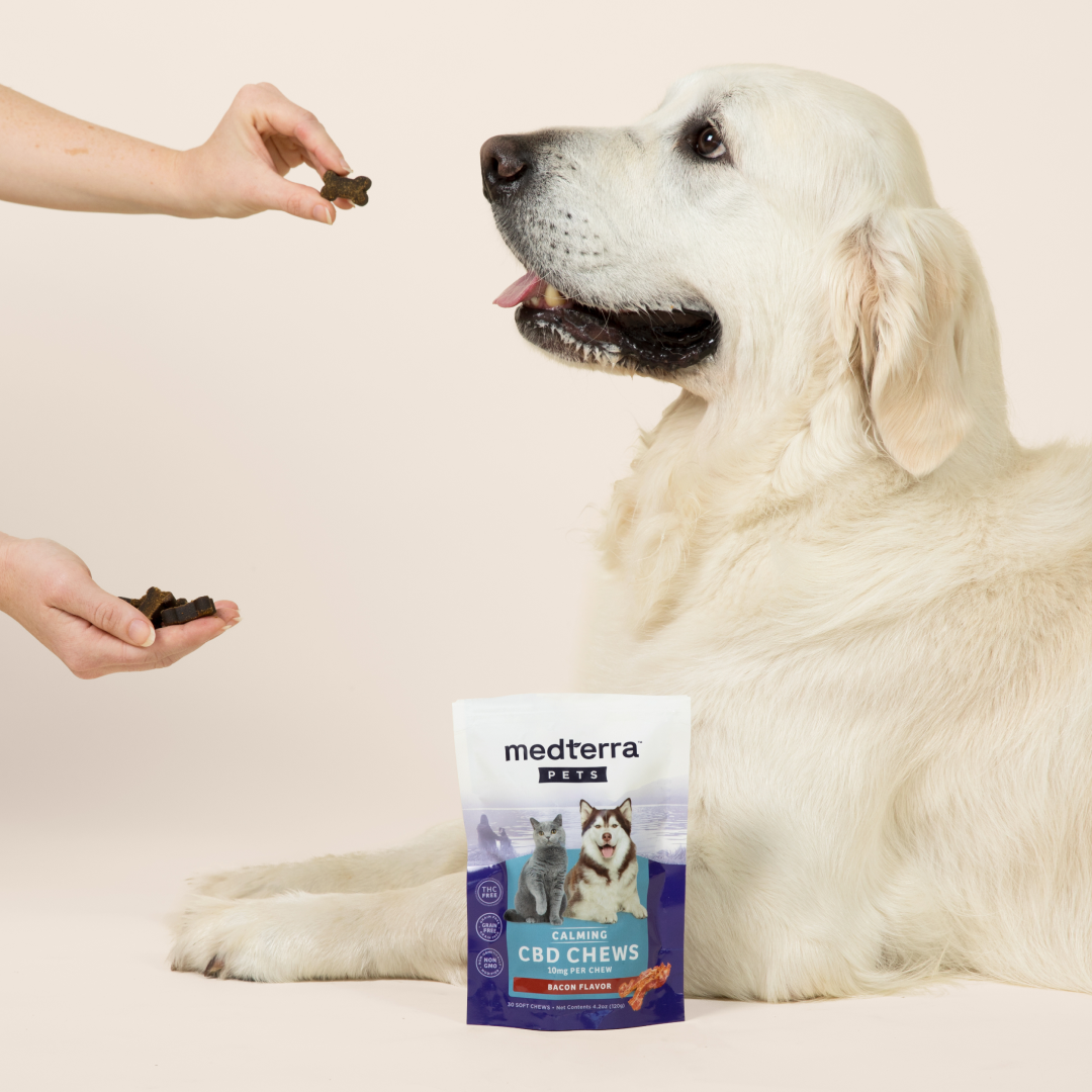 Medterra Pet CBD Calming Chews
