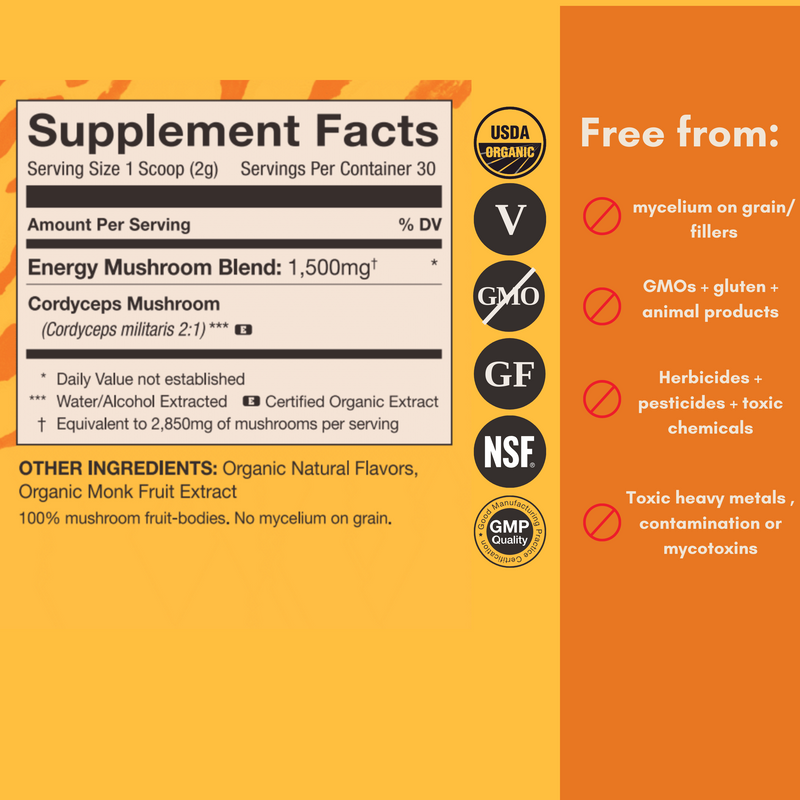 Mushroom Revival Energy Cordyceps Powder Best Sales Price - Edibles